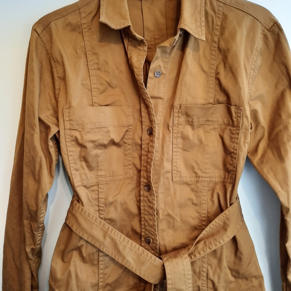 Everlane The Modern Utility Shirtdress - Picture 7 of 16